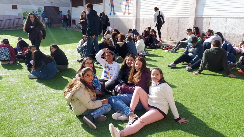a zona cesped