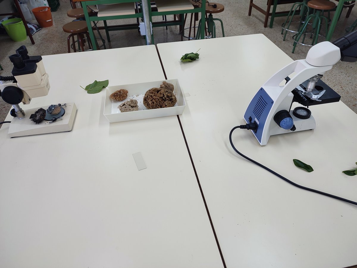 laboratorios