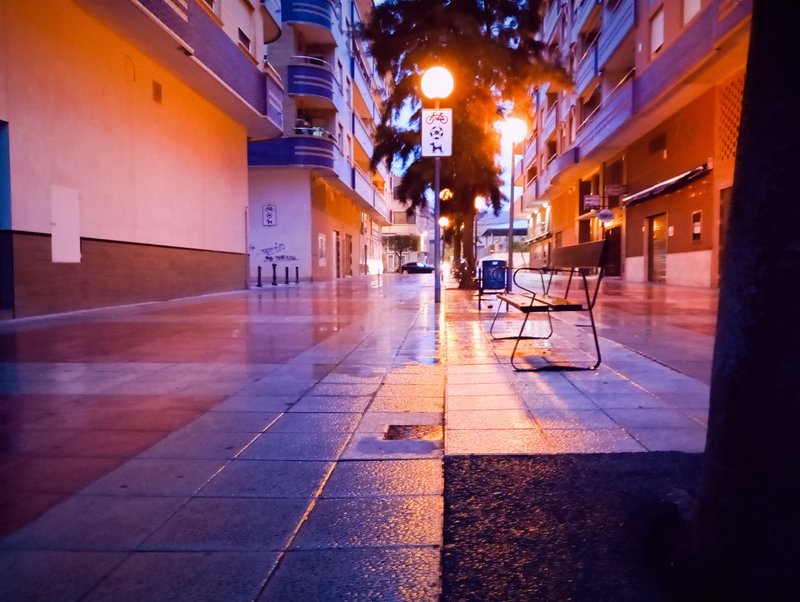 Ganadores meteoinfanta 2025