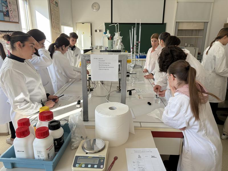 intercambio_eslovenia_2026